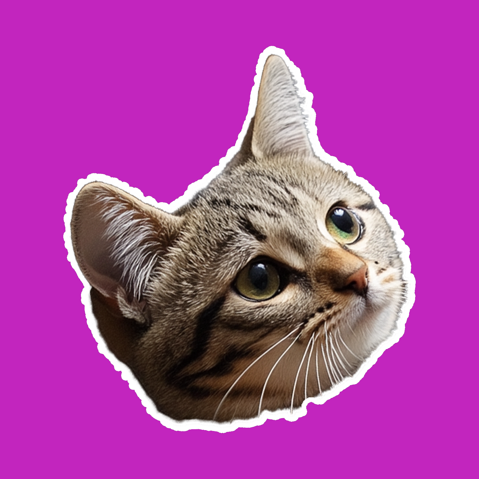 RIKI